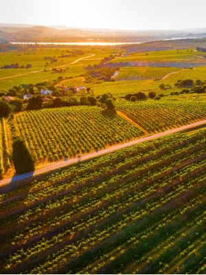 famille jaume côtes-du-rhône