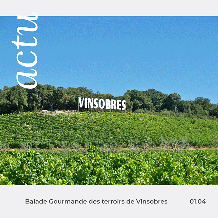 actualité balade gourmande vinsobres