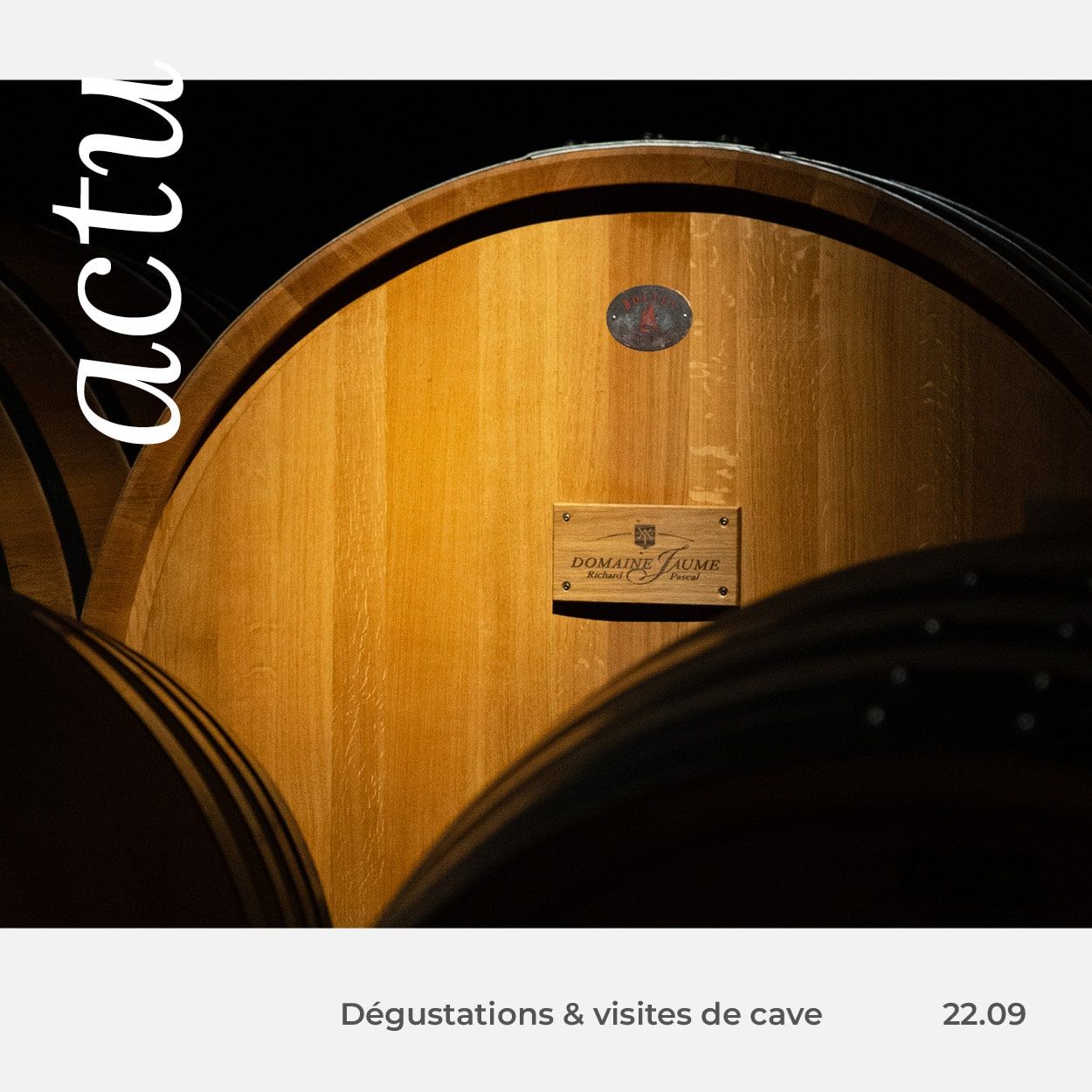 dégustations-et-visites-de-cave-au-domaine