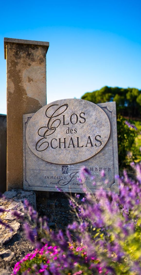 clos des echalas vignoble