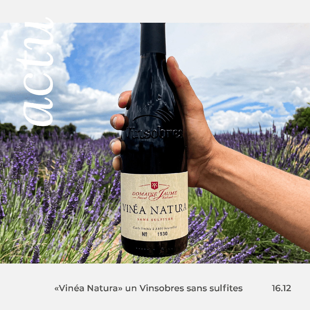 vin vinsobres nature vinea natura 